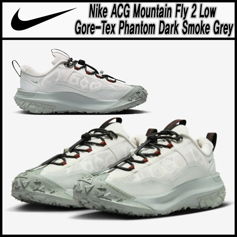 Nike★ACG Mountain Fly 2 Low Gore-Tex ★送料・関税込★
