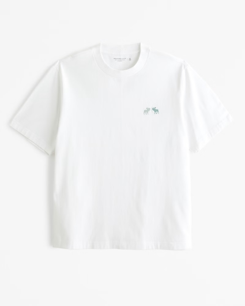 アバクロAbercrombie&Fitch半袖Tシャツtx080ホワイト