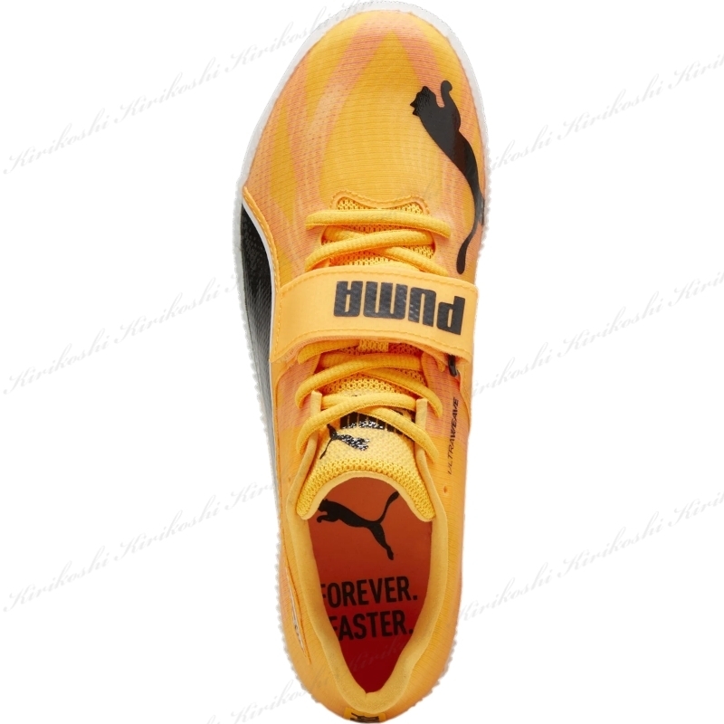◇PUMA 24SS◇evoSPEED ハイジャンプ 11 ウルトラウィーブ◇