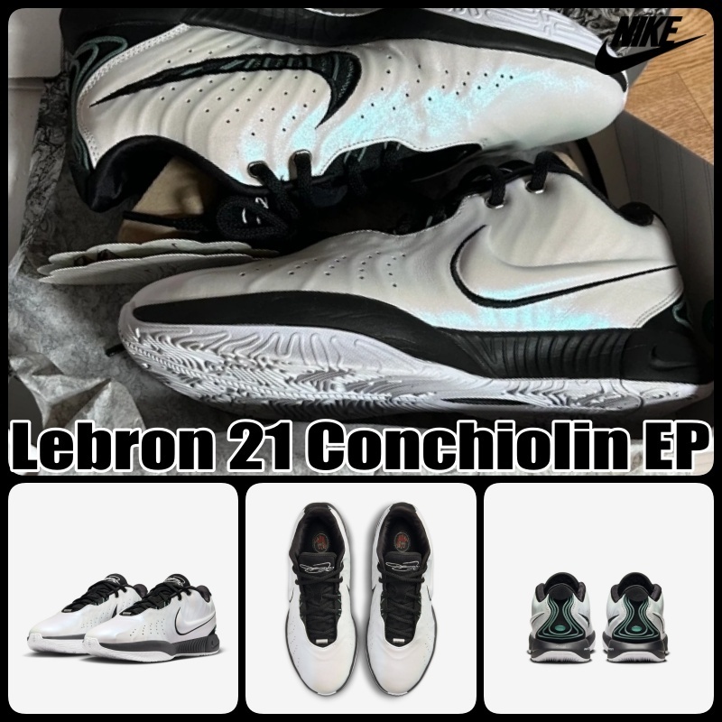 【ナイキ】レブロン Nike Lebron 21 Conchiolin EP Bicoastal