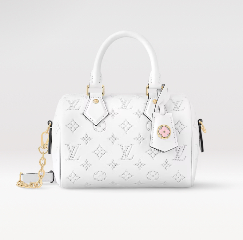 《限定/エレガント》LOUIS VUITTON スピーディ バンドリエール20