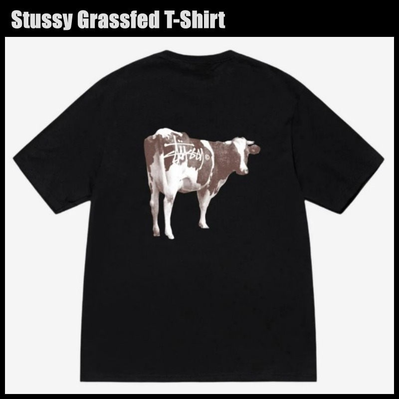 Stussy Grassfed T-Shirt Black ステューシー 半袖 Tシャツ