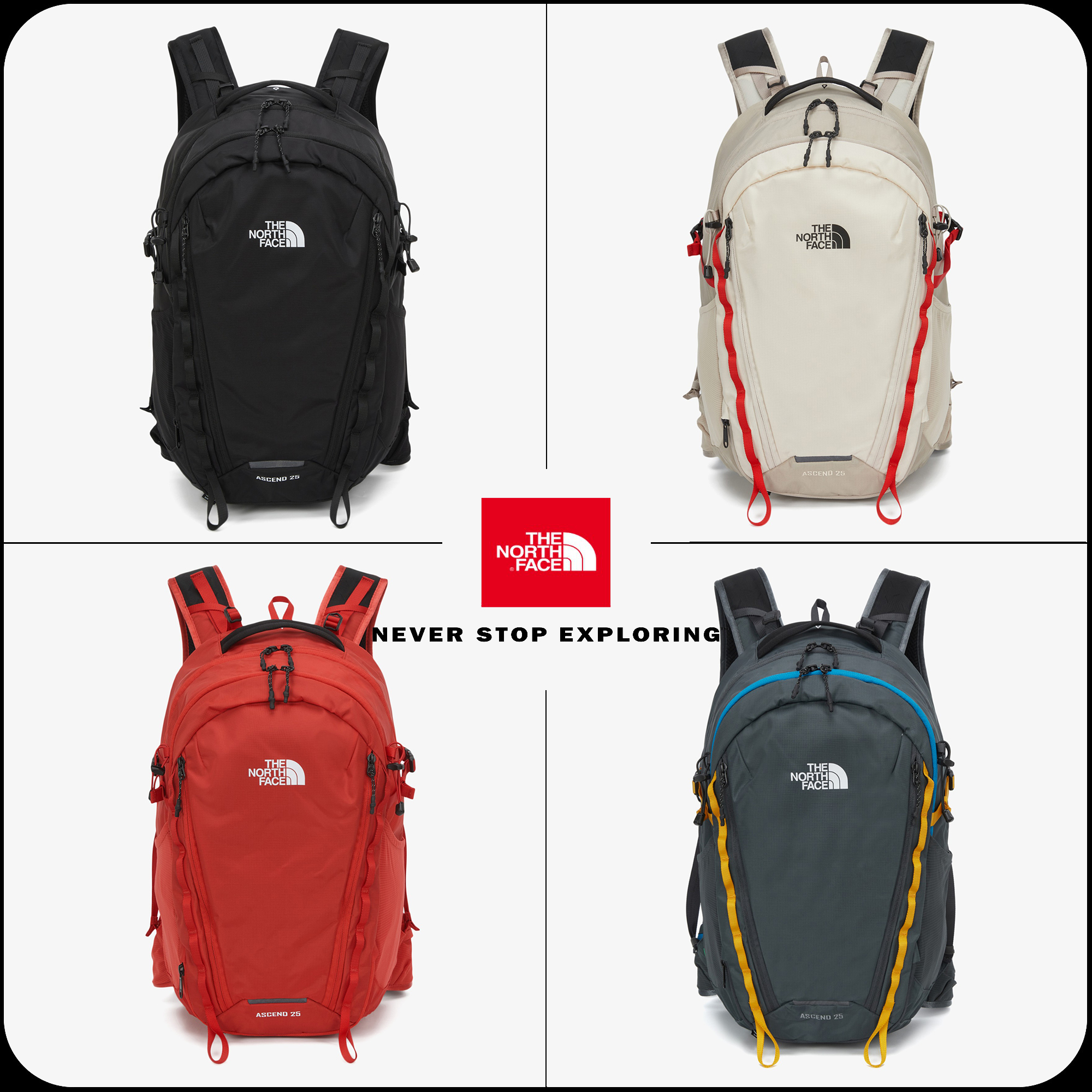 [THE NORTH FACE]★24SS★韓国人気★ASCEND LT 25