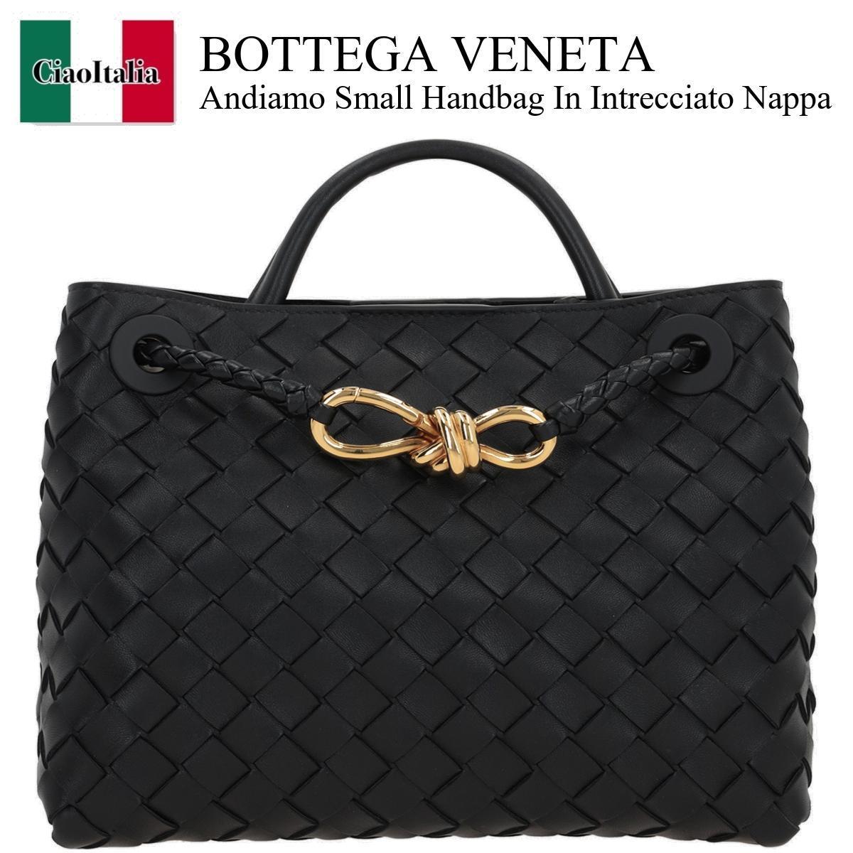 ハンドバッグ Bottega Veneta Andiamo Small Handbag In Intrecciato Nappa