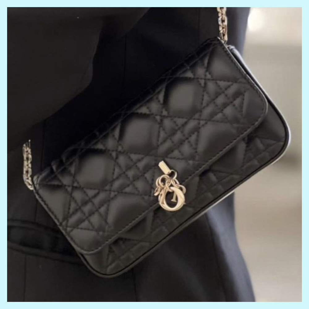 【可愛い♡】Dior My Dior - Dior Talk フォンバッグ