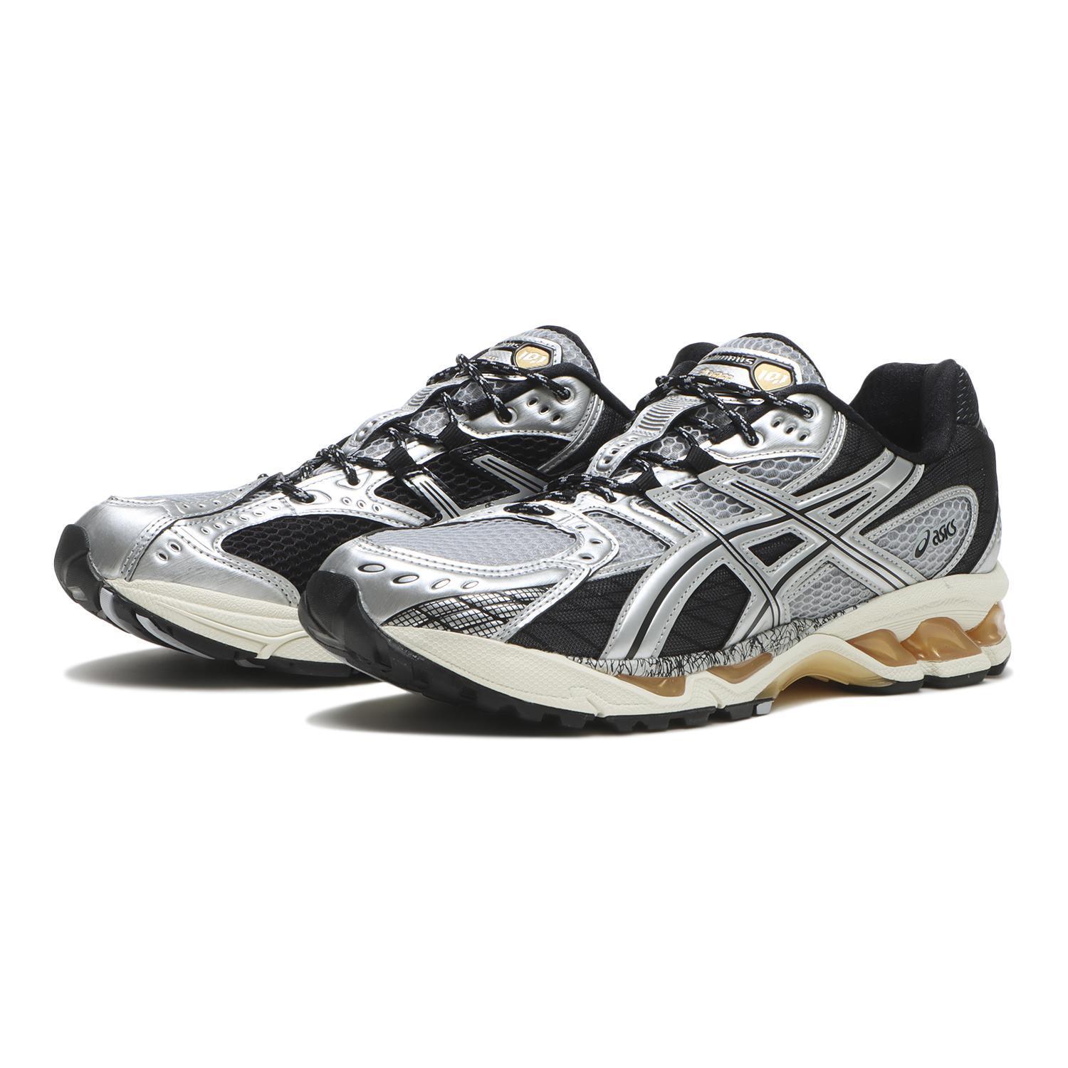国内配送 asics GEL-NIMBUS 10.1 PIEDMONT GREY/PURE SILVER