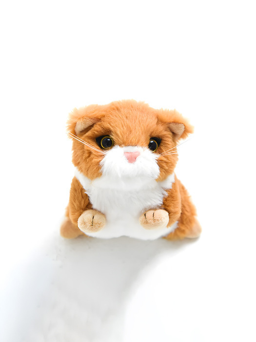 [2000 Archives] CHUBBY CAT KEYRING★BIBI★コラボキーリング