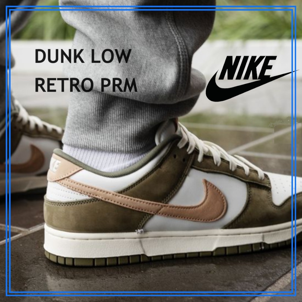 早い者勝ち NIKE DUNK LOW RETRO PREMIUM カラーの組み合わせ◎