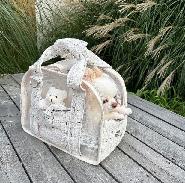 BABIANA ☆AJI BAG CUBE シースルー シリーズ part3 Mサイズ