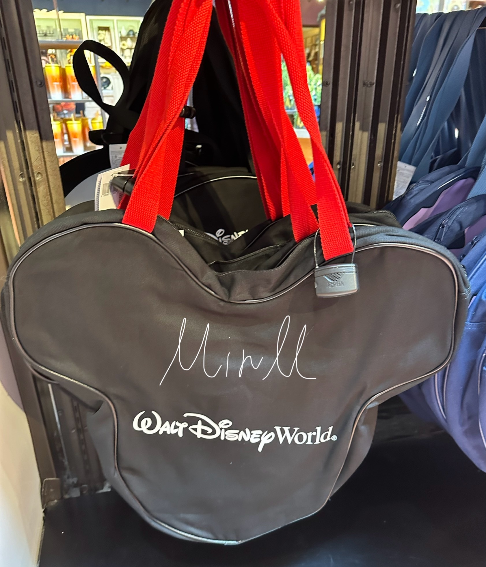 【Disney】Walt Disney World キャラ フェイス型 トートバッグ Disney】Walt Disney World キャラ フェイス型 トートバッグ