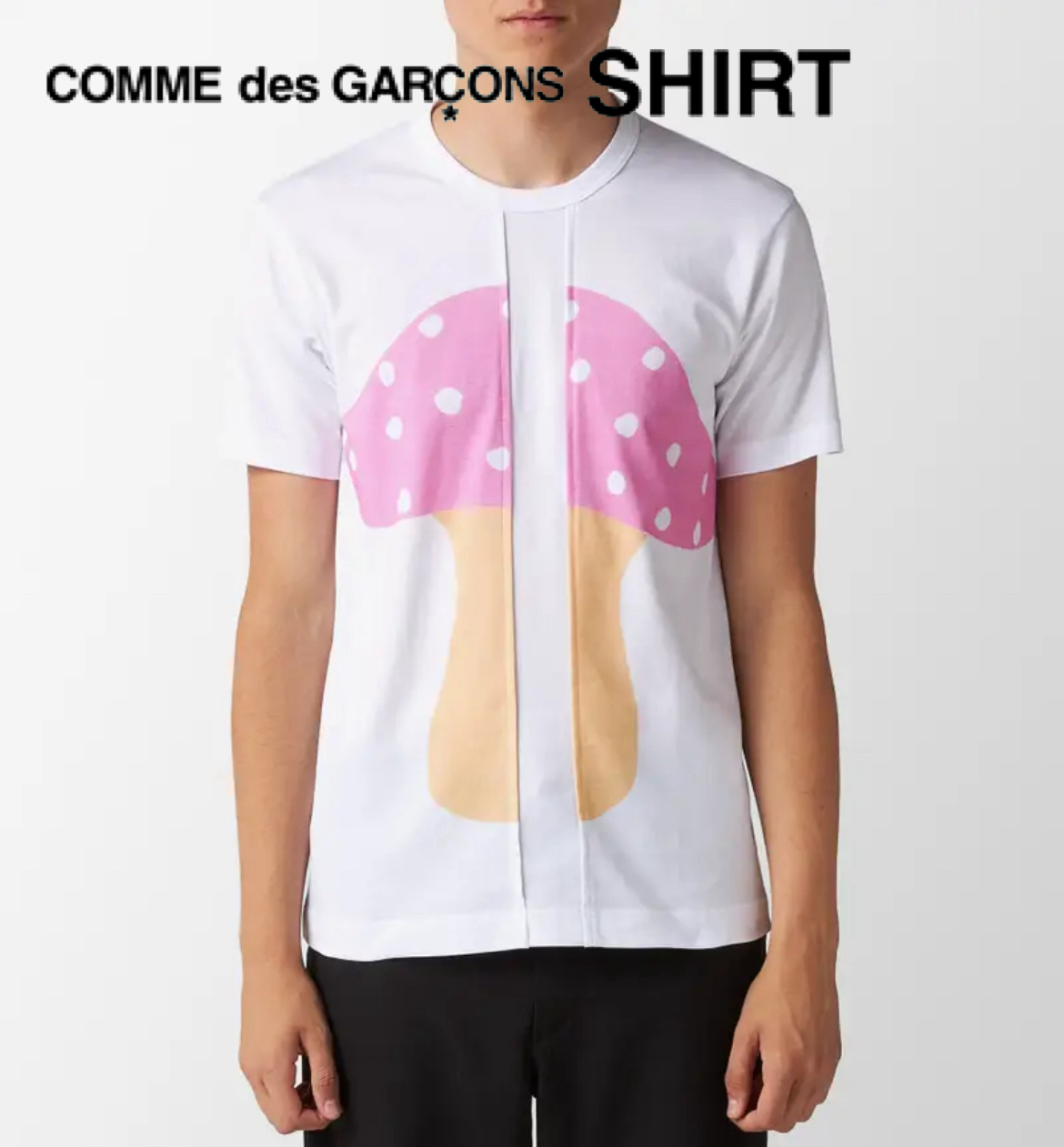 希少◇GARCONS SHIRT× BRETT WESTFALL コラボ Tシャツ キノコ