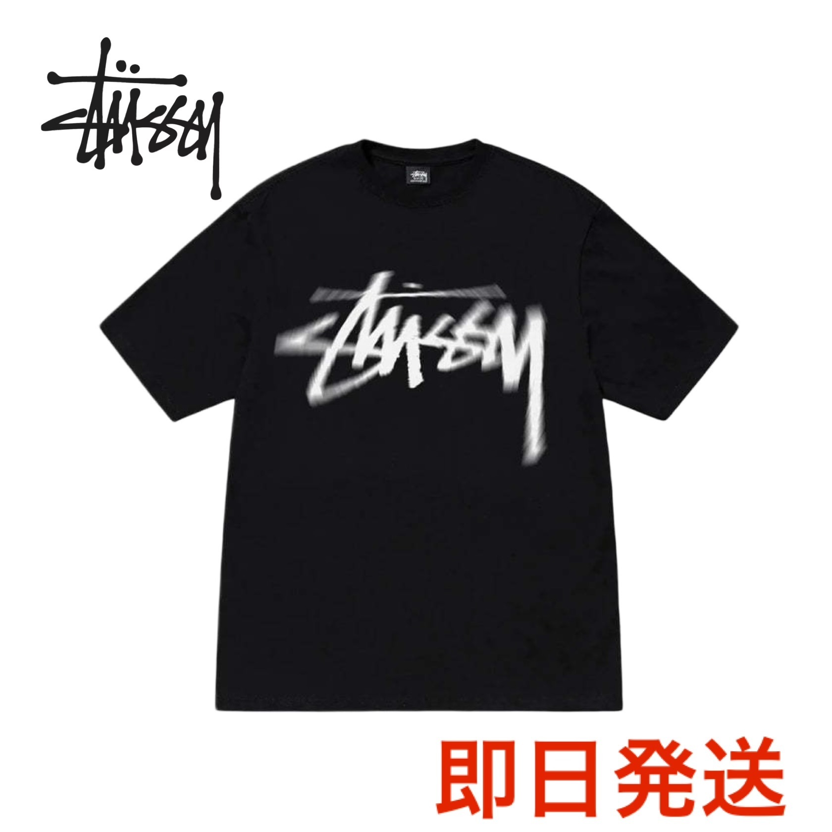 ステューシー STUSSY DIZZY STOCK Tee Tシャツ