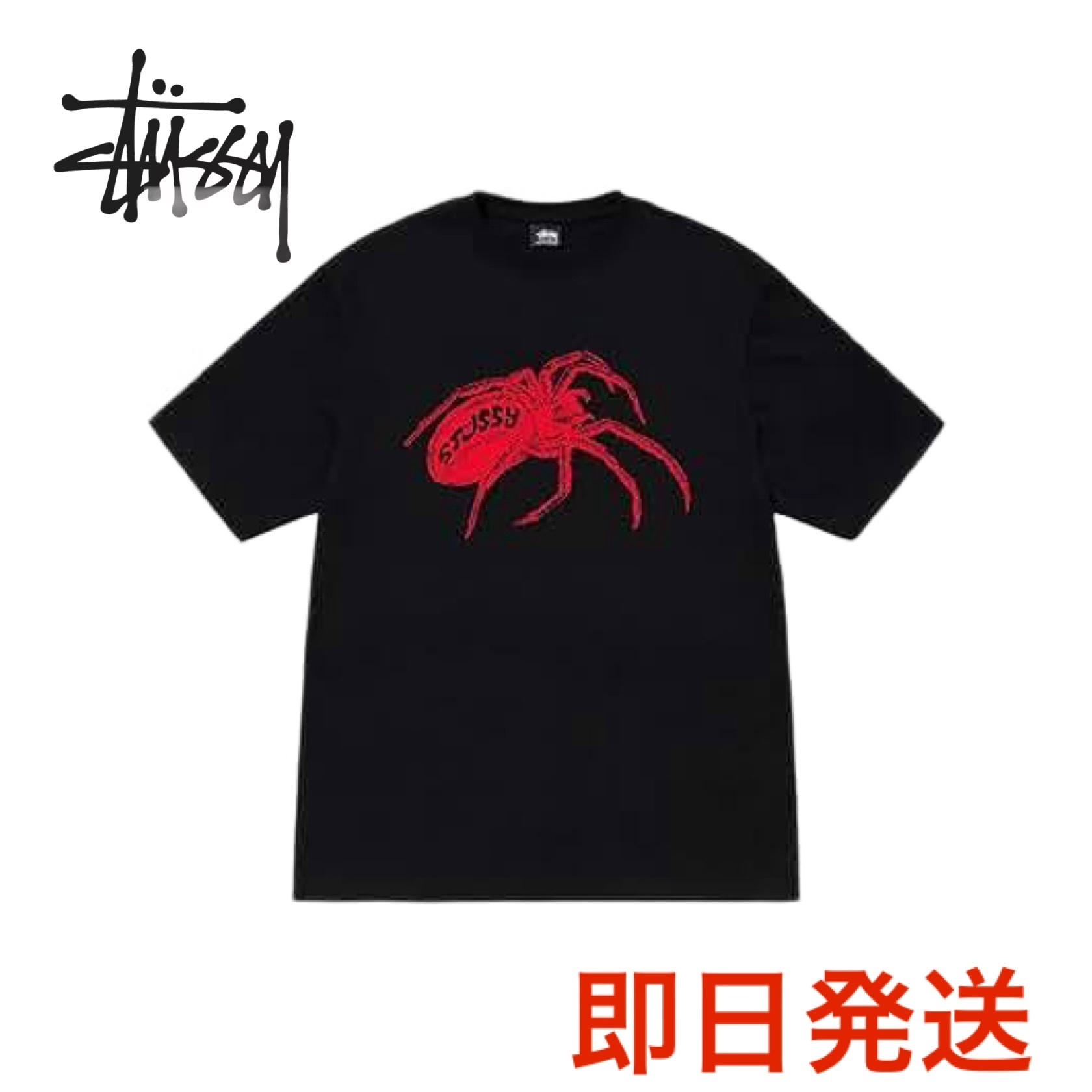 ステューシー STUSSY WIDOW TEE Tシャツ