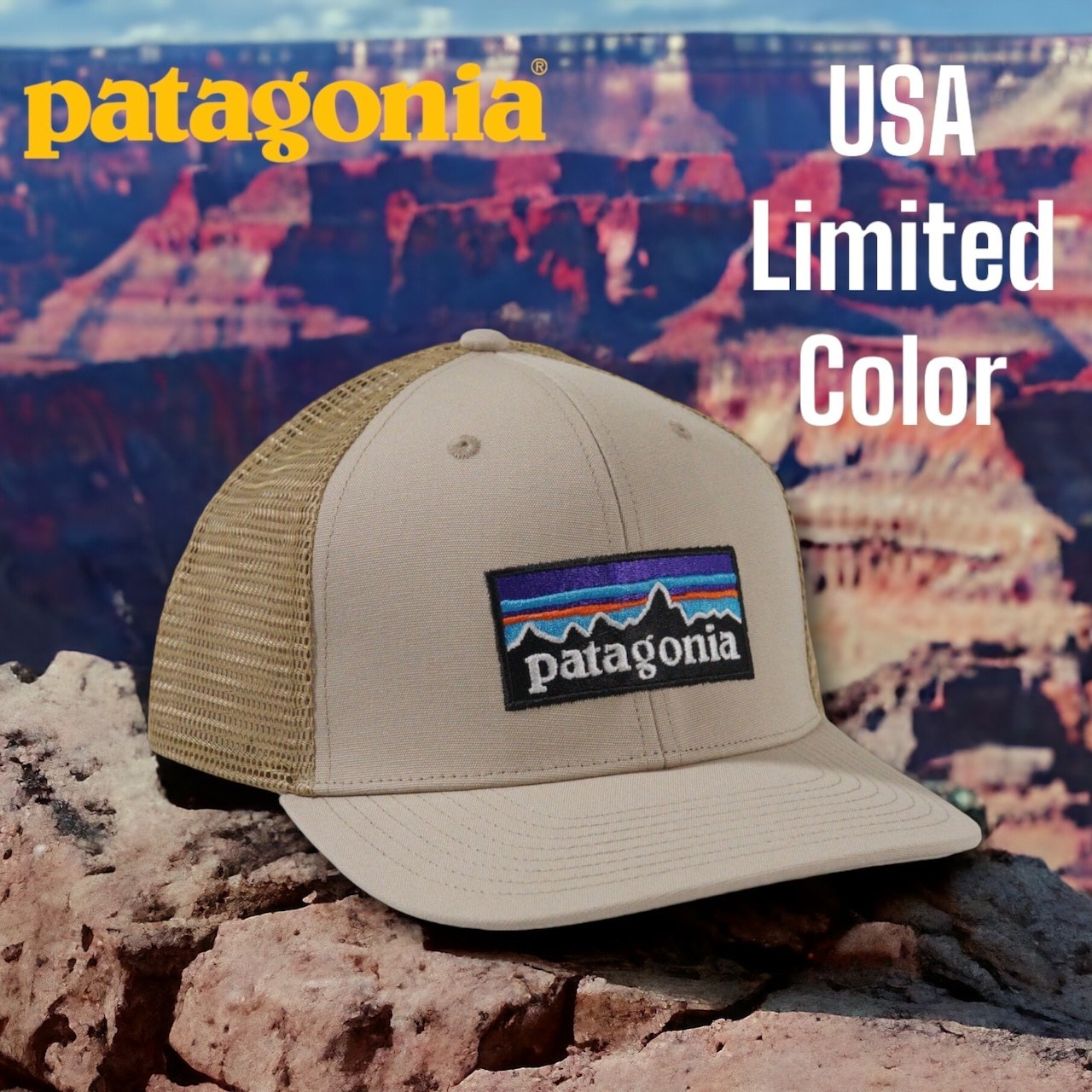 ◆PATAGONIA P-6 トラッカーキャップ パタゴニア タンカラー
