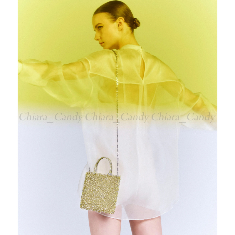 24AW NEW】ANTEPRIMA /STANDARD MINIATURA ワイヤーバッグ/5色