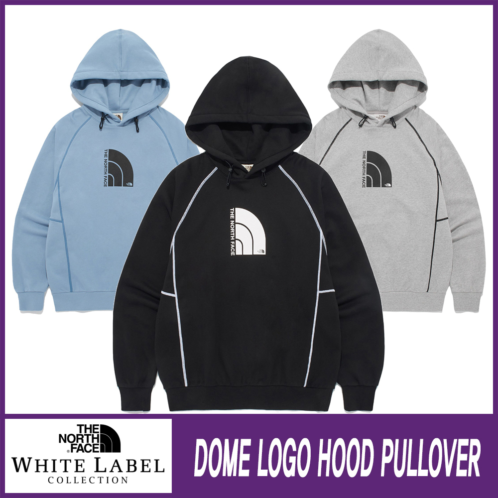 ★THE NORTH FACE★DOME LOGO HOOD PULLOVER★送料・関税込★