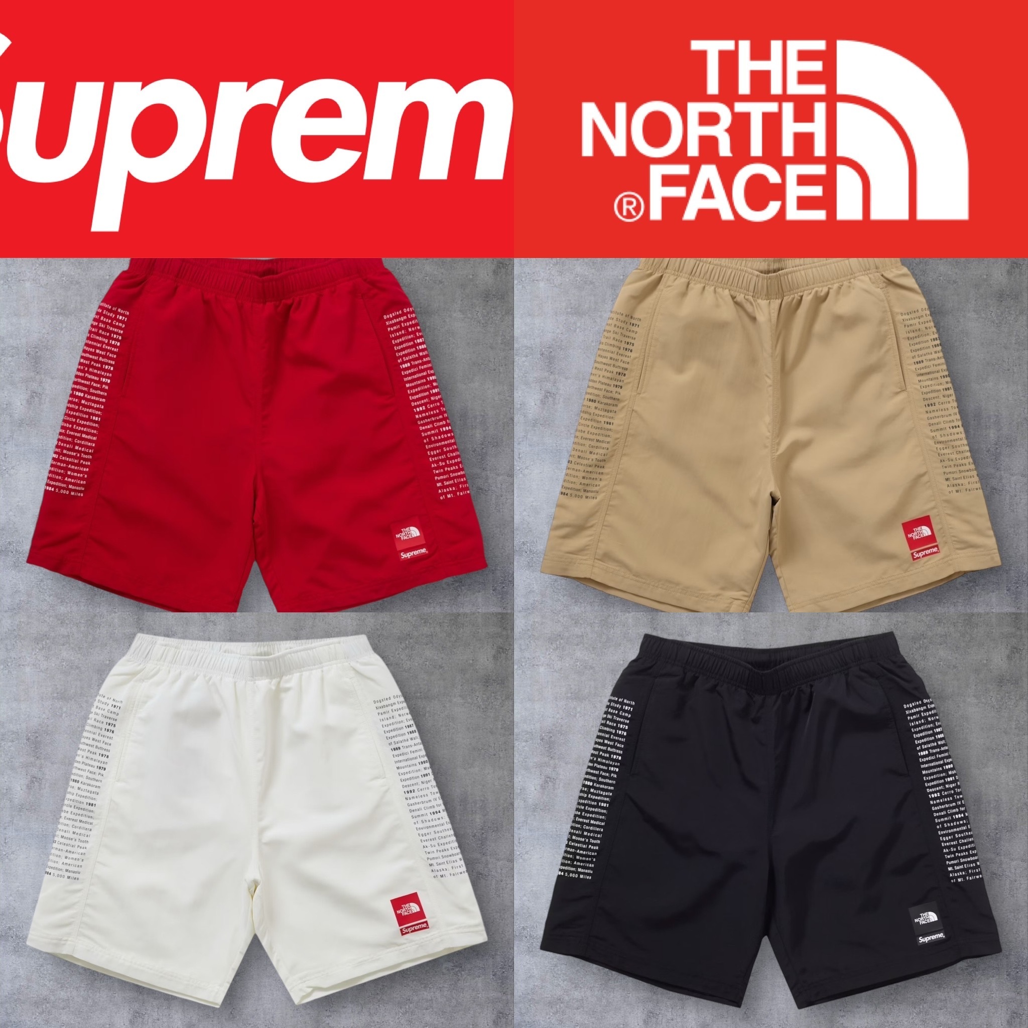 【2024SS】Supreme The North Face Nylon Short