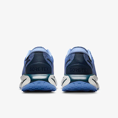 《☆超レア☆》☆NIKE☆Motiva GORE-TEX☆Blue