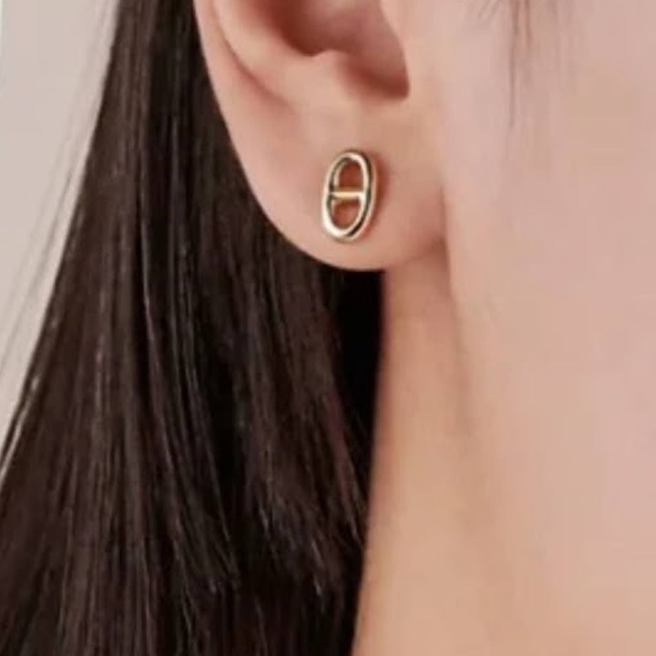 《ギフトにも♡》HERMES ファランドール ピアス TPM