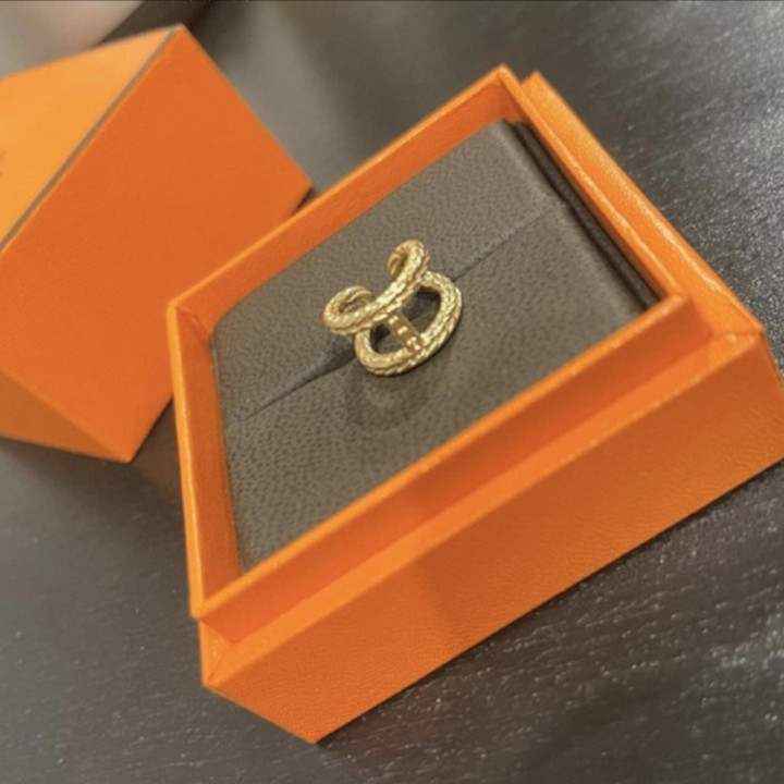 《大人気☆プレゼントにも最適☆》HERMES ダナエ イヤーカフ