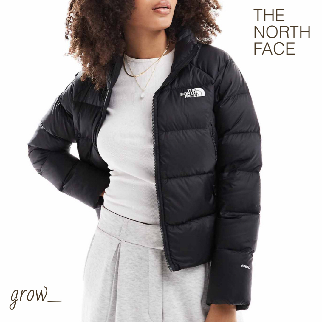 THE NORTH FACE Hyalite ハイアライト ダウン ジャケット 送関込