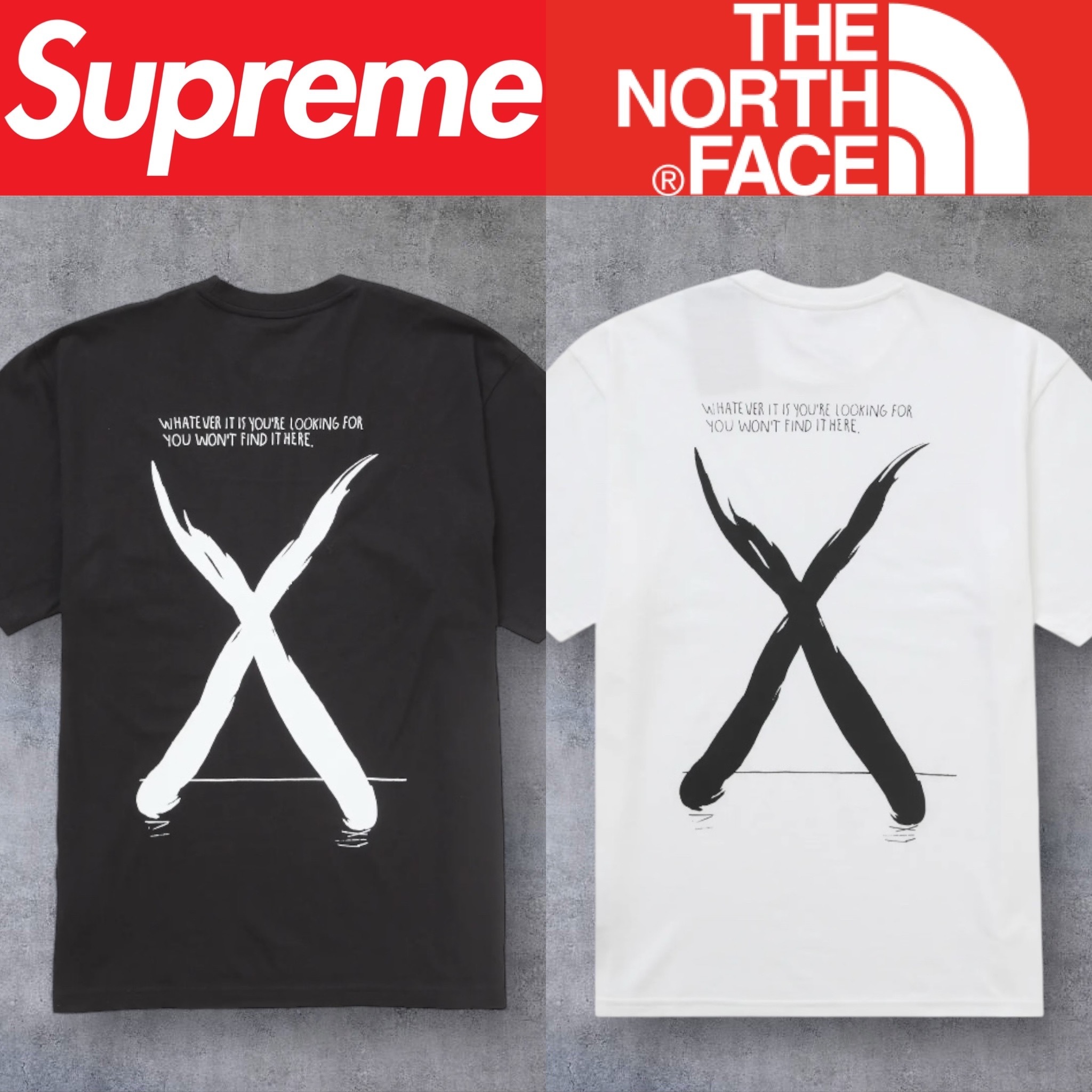 Tシャツ・カットソー Supreme The North Face Raymond Pettibon S/S Top