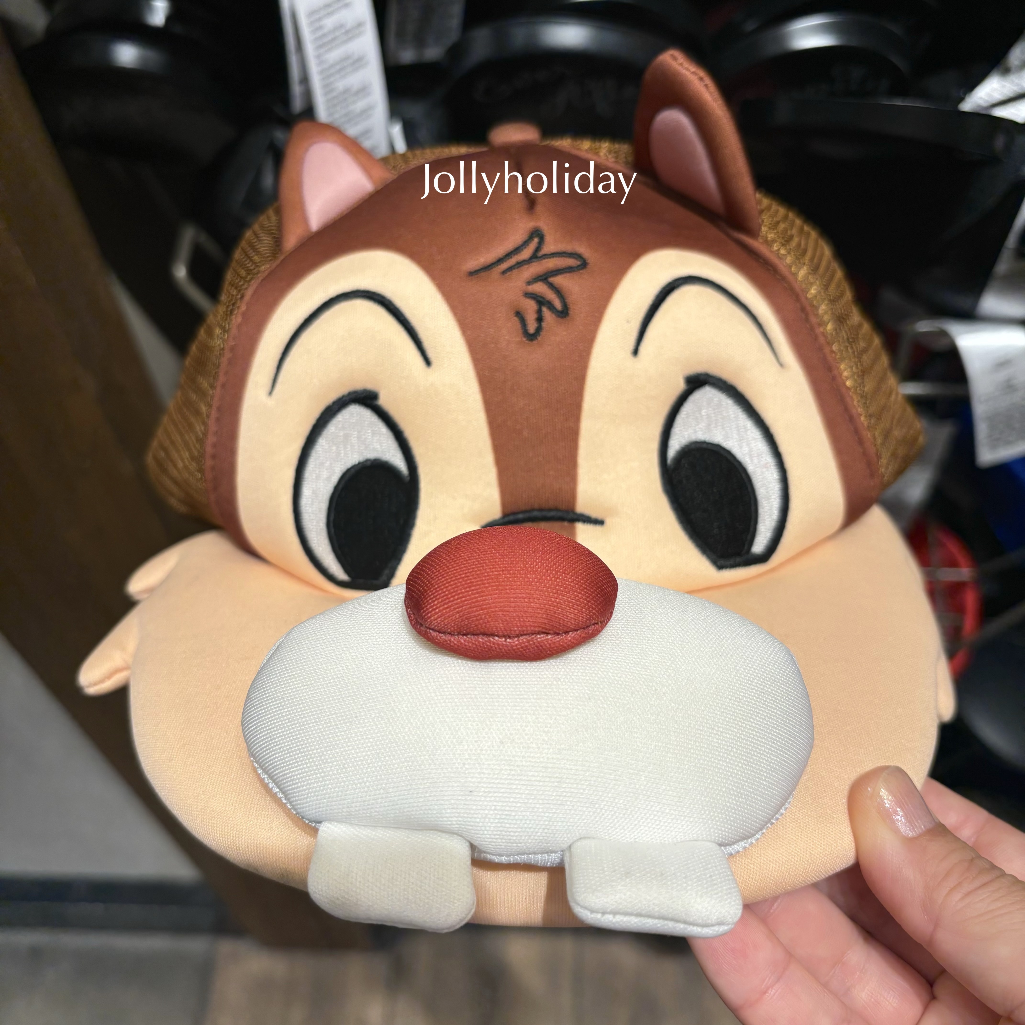☆US Disney Parks☆男女兼用 デール メッシュキャップ