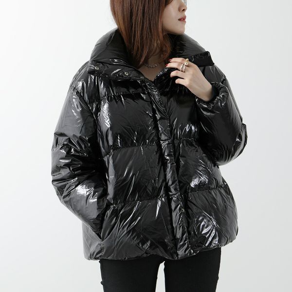 HERNO Laminar ダウンジャケット PI00336DL 12345Z