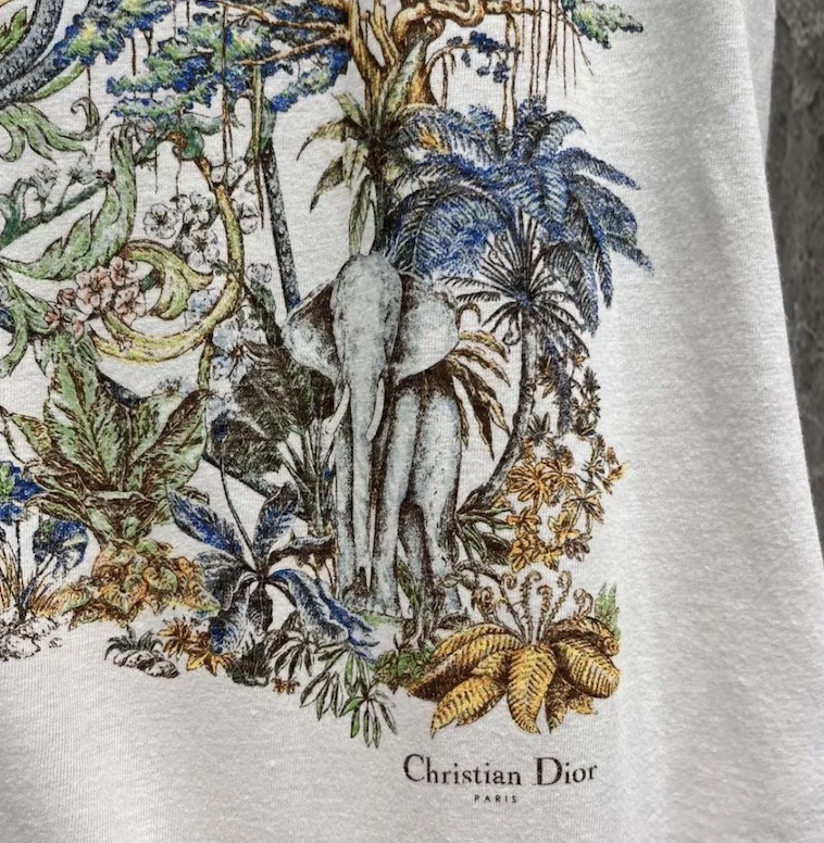 VIPセールで奇跡！】DIOR（ディオール）Tシャツ (Dior/Tシャツ