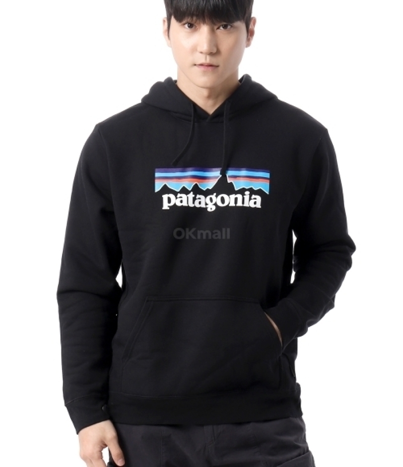 patagonia｜LONG-SLEEVE T-SHIRTS (P-6 Logo Uprisal Hoody