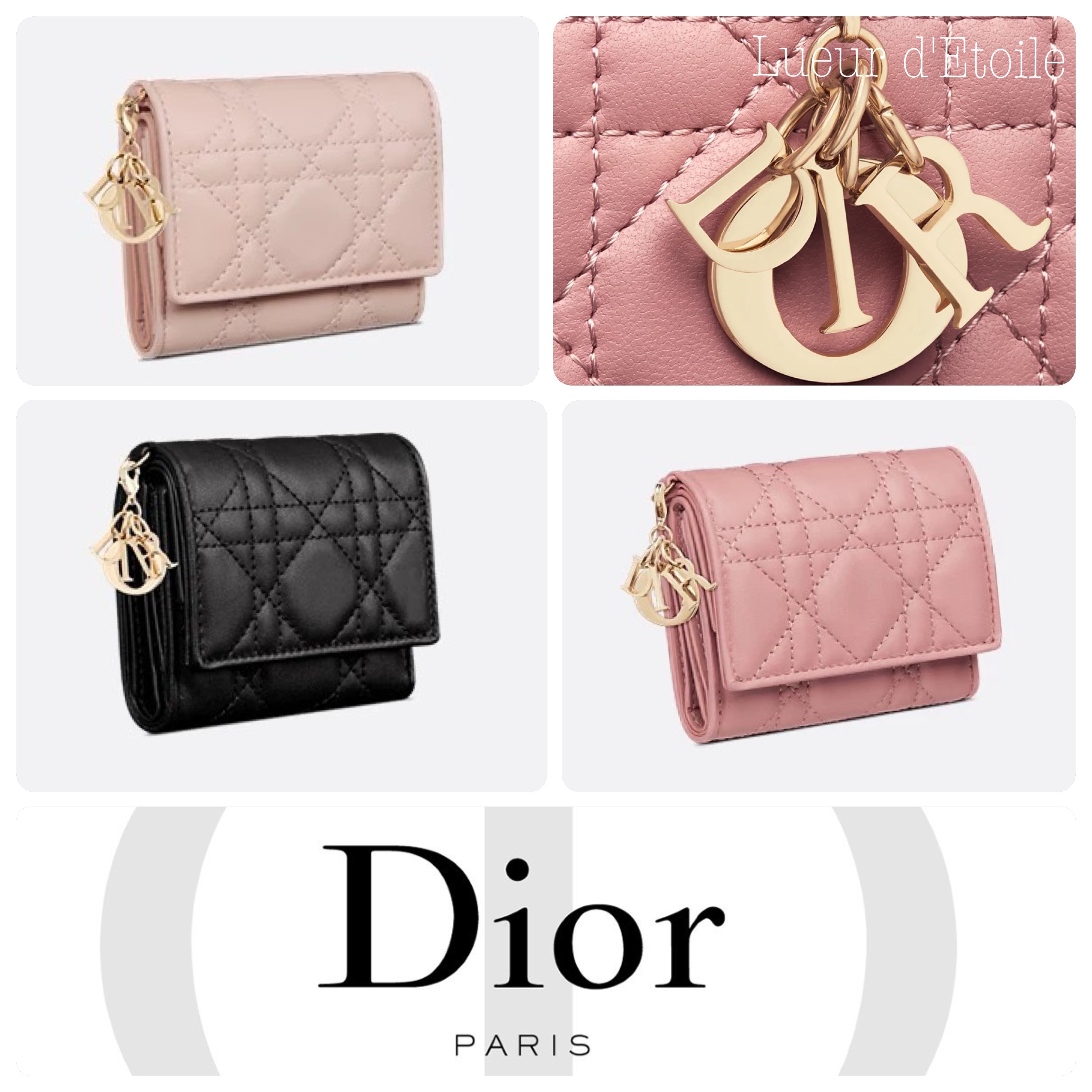 【色とりどり】DIOR Lady Dior Lotus ウォレット