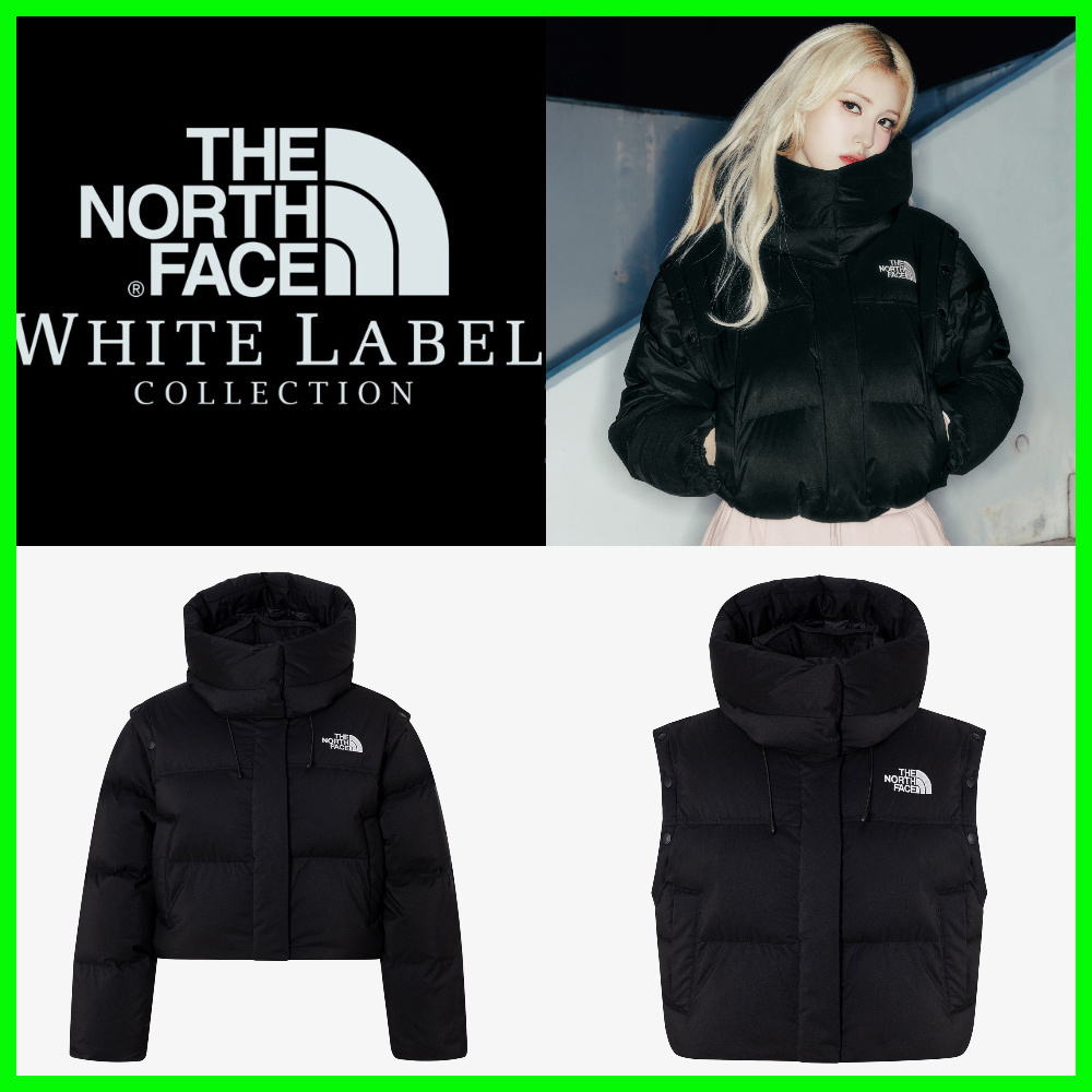 ★THE NORTH W'S NOVELTY NUPTSE DT DOWN JACKET (RDS)★