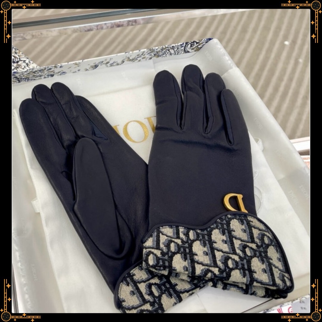 【上品なアクセントとして】DIOR ディオール Saddle グローブ