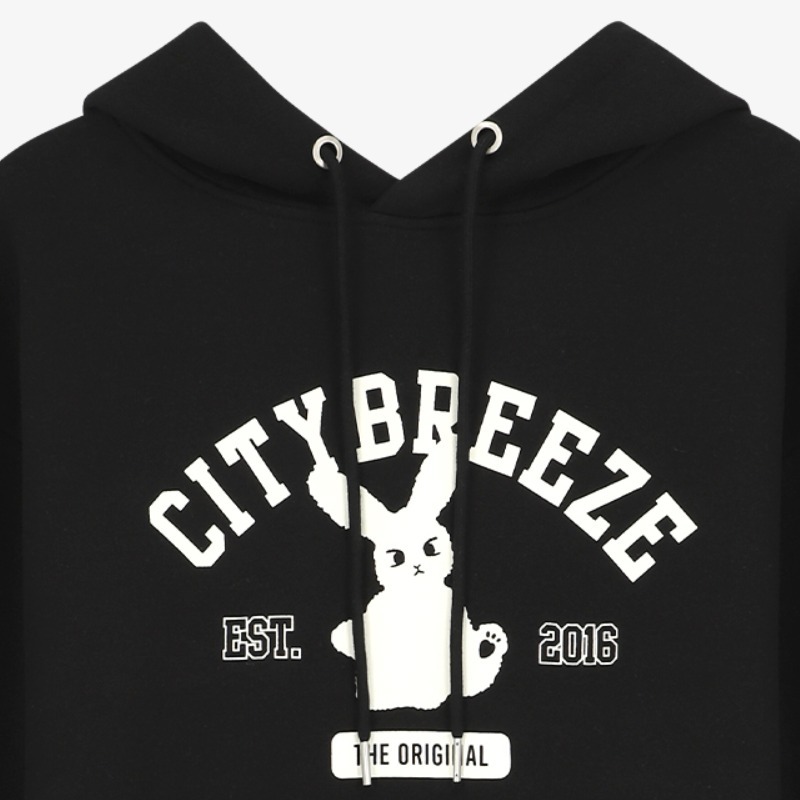 Citybreeze × NCT City Fluffy Graphic Hoodie 4BNY295 Citybreeze × NCT City Fluffy Graphic Hoodie 4BNY295