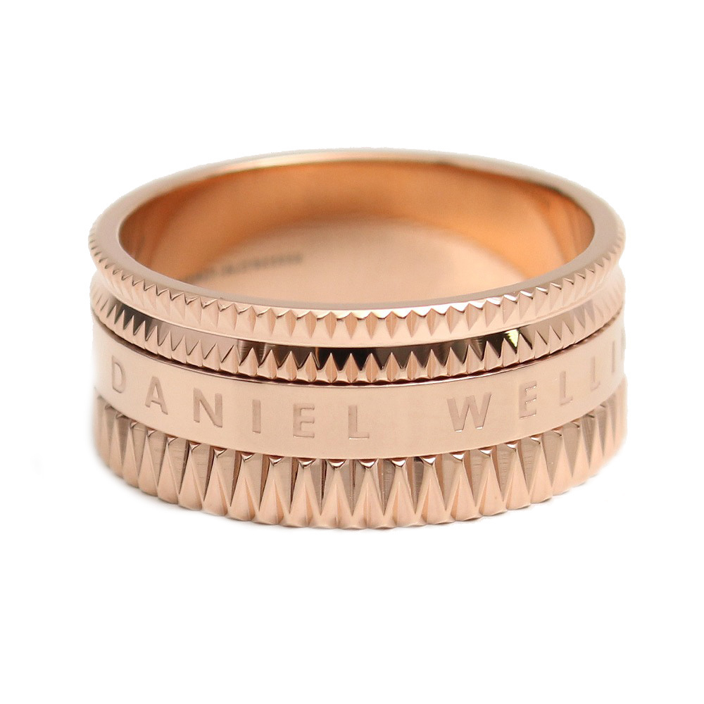Daniel Wellington リング ELEVATION RING 17.5号 DW0040020