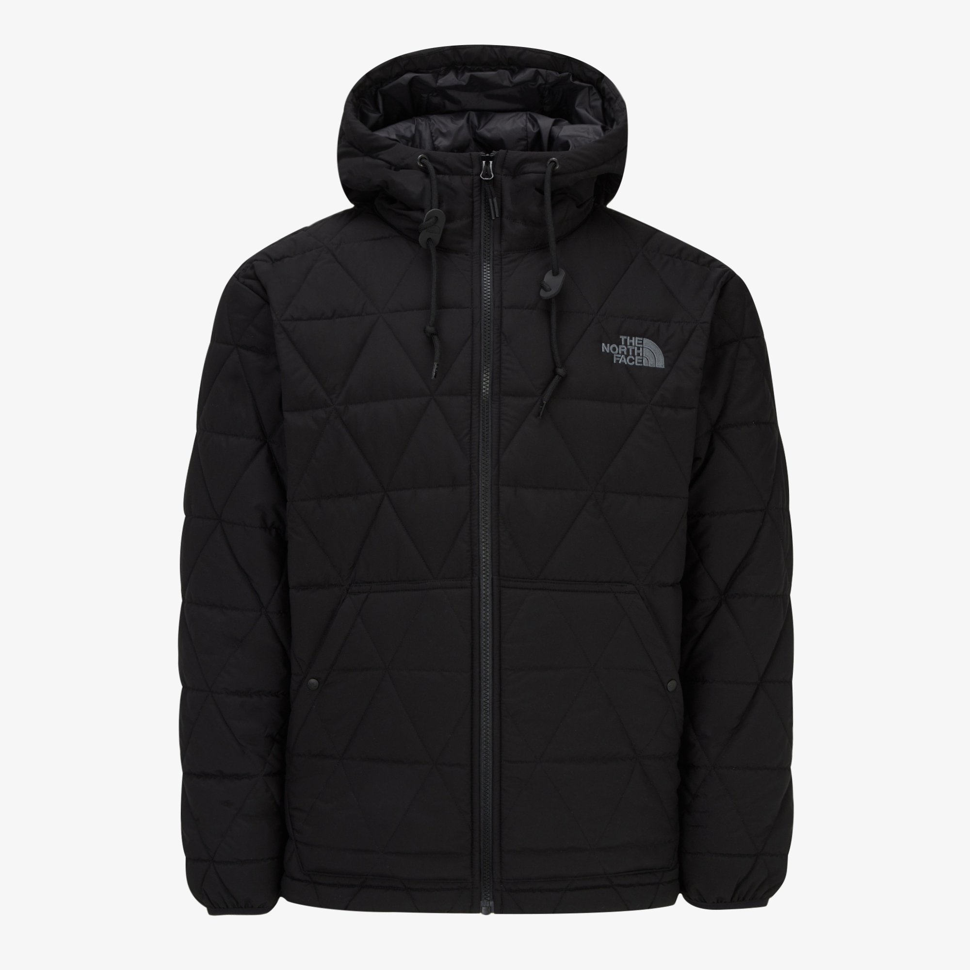 パーカー・フーディ [The North Face] M'S GEODOME V HOODIE - BLACK