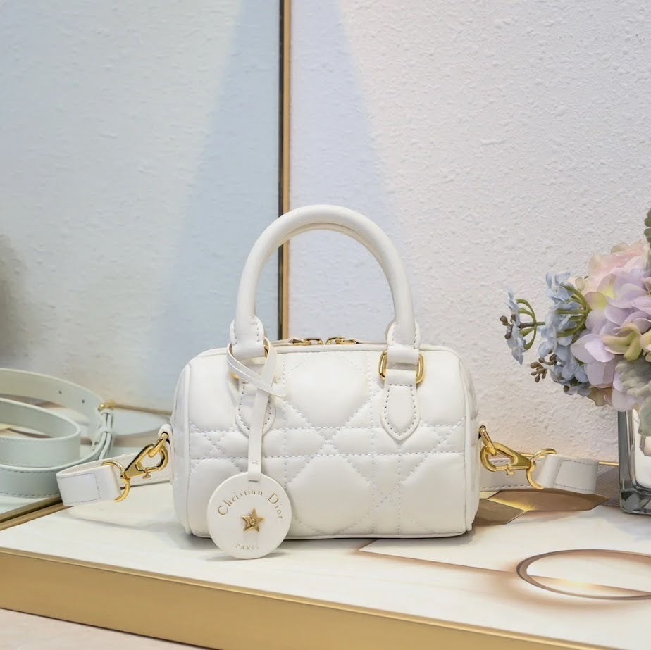 【きれいなカラー♪】Dior★ Groove 20 バッグ スモール DIOR | Dior Groove 20 バッグ スモール ディオール オブリーク