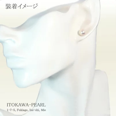 3906：無調色花珠あこや真珠ピアス＜8.1mm＞鑑別書付PE-7530