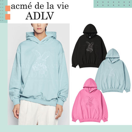 [ADLV] LETTERING RABBIT HOODIE /追跡付 Easter Bunny - Boy's Word Art Hooded Sweatshirt – LA Pop Art