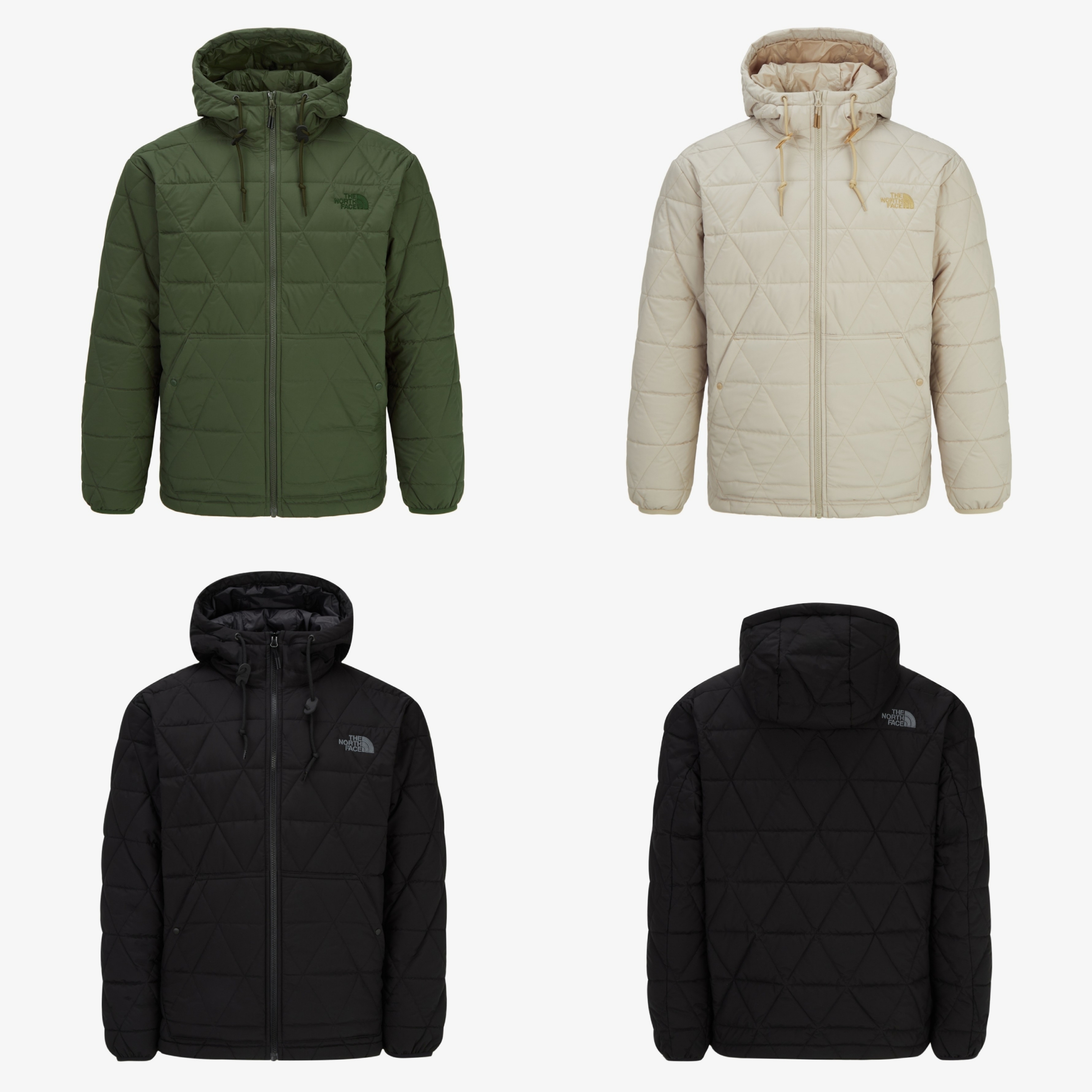 正規品・送料込◆THE NORTH FACE◆M'S GEODOME V HOODIE
