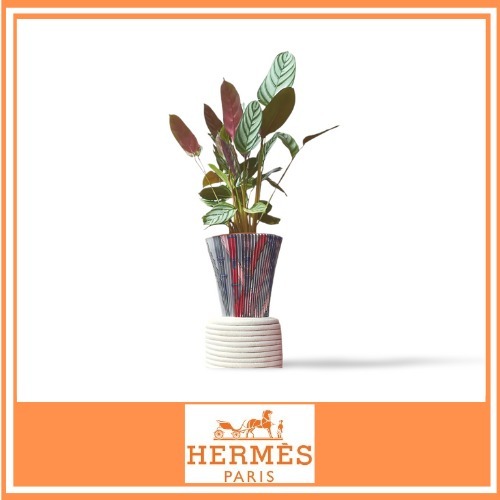 インテリアに♪【HERMES】プリーツ模様の鉢カバー 16cm