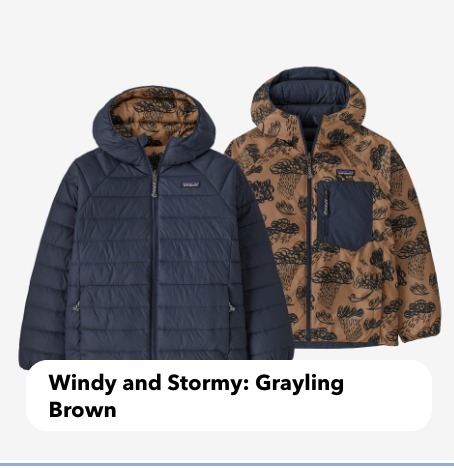 Patagonia /キッズ リバーシブル ダウン セーター フーディ