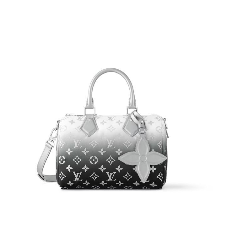 Louis Vuitton《グラデーションカラー☆》ハンドバッグ SPEEDY