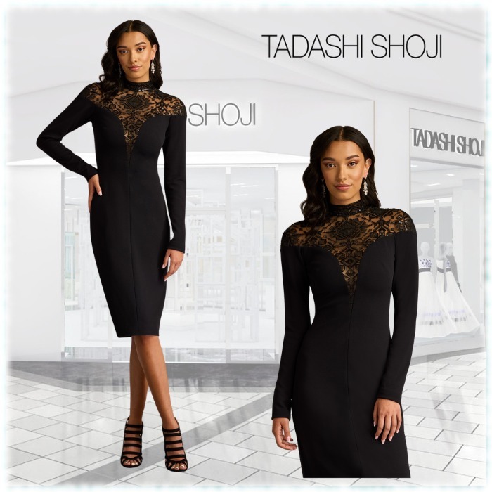 限定!! TADASHI SHOJI Ebony シースルー 美ラインドレス