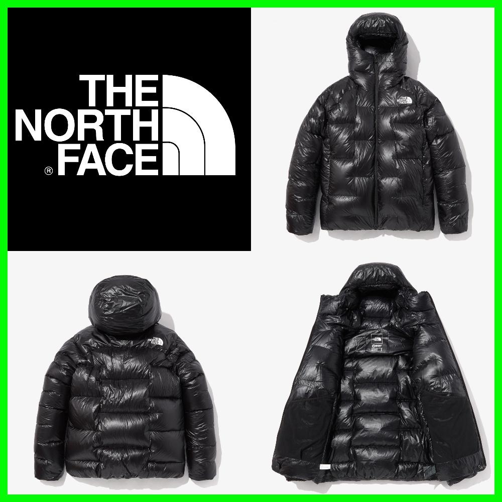 ★THE NORTH FACE M SUMMIT PUMORI DOWN PARKA★