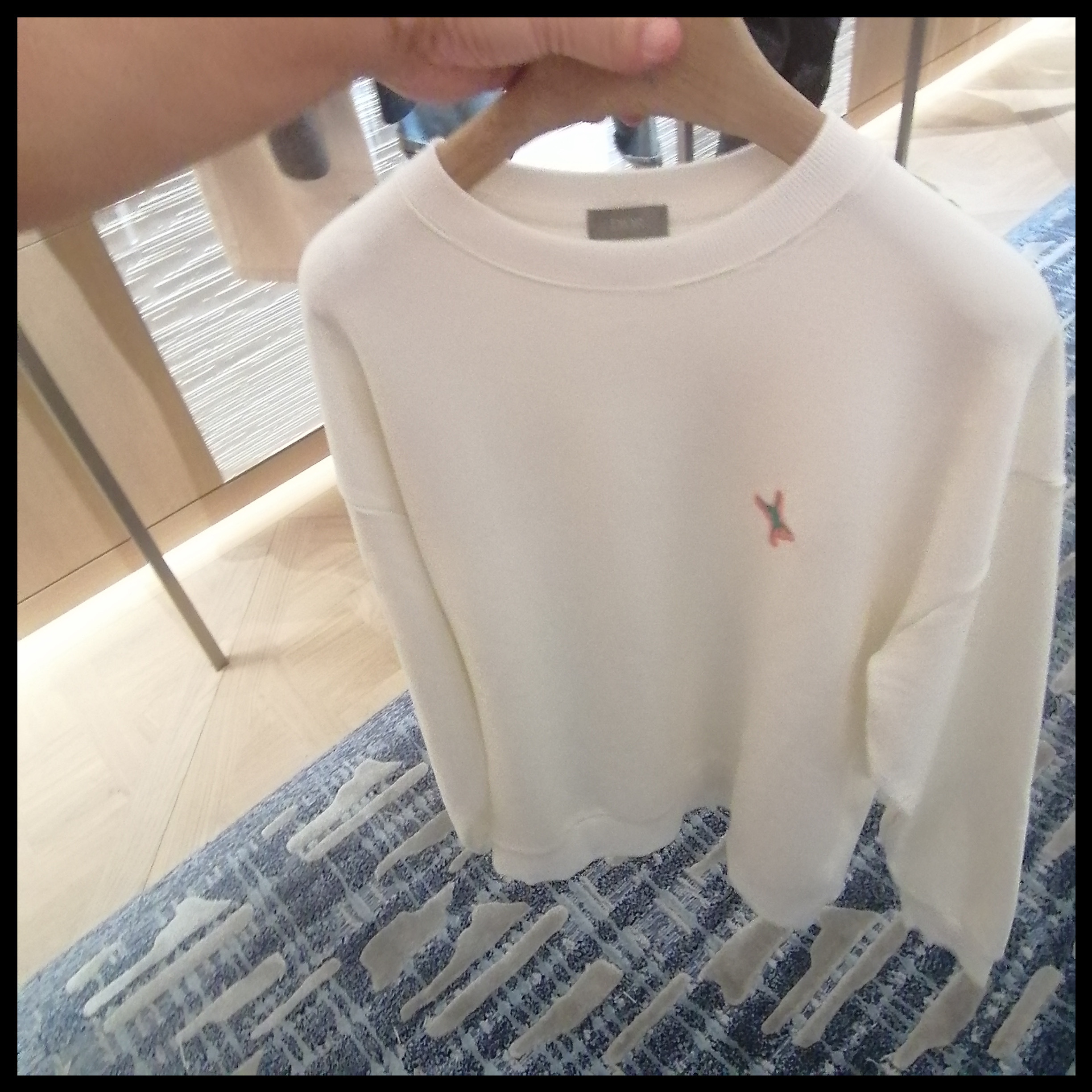 ◆Dior◆ DIOR AND LEWIS HAMILTON スウェットシャツ