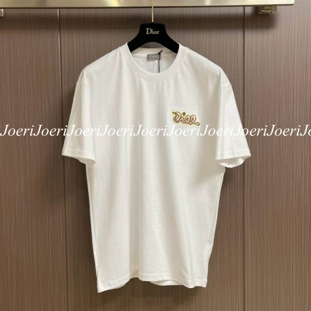 専門ショップ KAWS AND DIOR オシャレな刺繍♪】DIOR Tシャツ Tシャツ Ω トップス