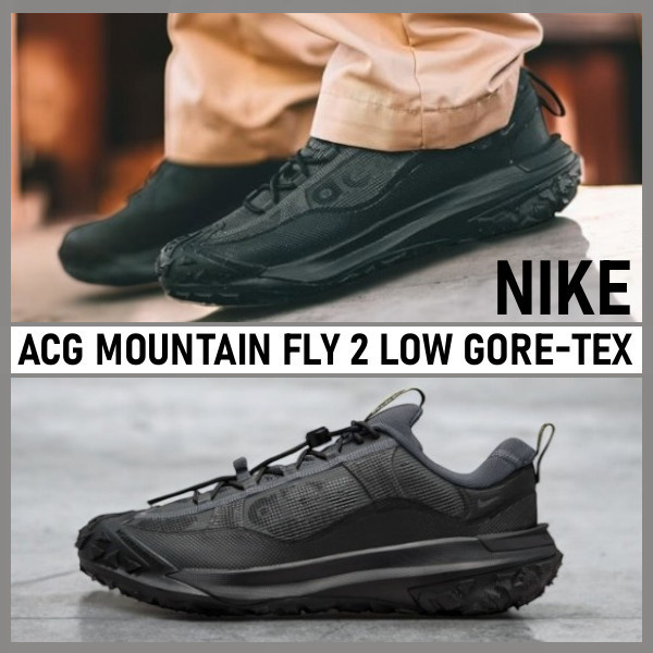【Nike】ACG MOUNTAIN FLY 2 LOW GORE-TEX