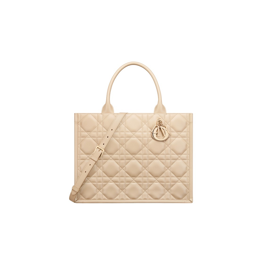 【無料郵送/関税込/正規品】 Dior Medium Dior Book Tote Powder