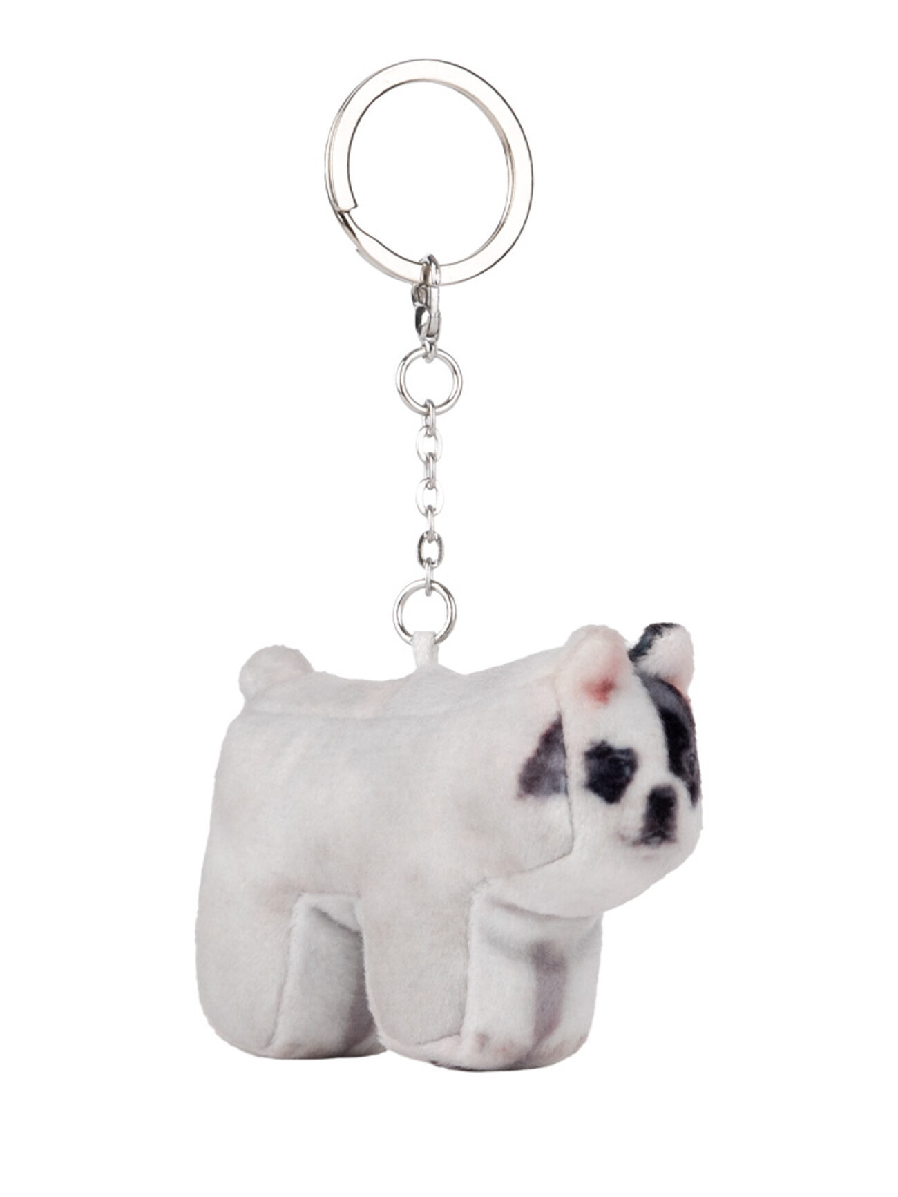 韓國可愛い[SOFTTHUMBNAIL]Rocky, Bulldog